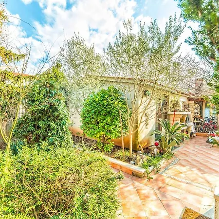 Belusic Apartament